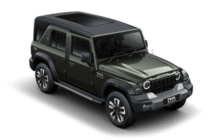 Thar Roxx in Deep Forest Thar Roxx in Deep Forest