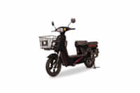 Odysse Electric Trot Black colour Scooters