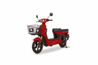 Odysse Electric Trot Maroon colour Scooters
