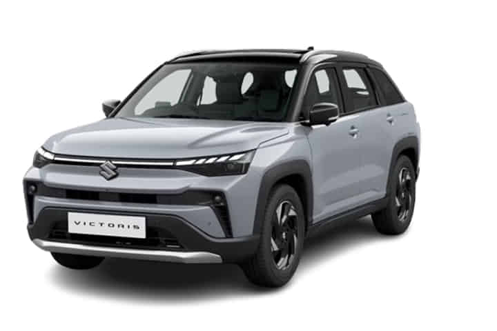 Victoris in Splendid Silver with bluish black roof