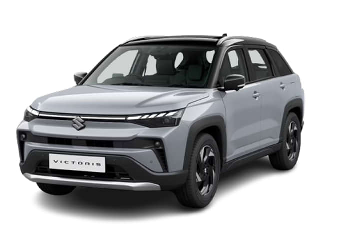 Splendid Silver with bluish black roof