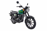 Kawasaki W175 CANDY EMERALD GREEN colour  Kawasaki W175 CANDY EMERALD GREEN colour