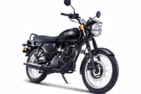 Kawasaki W175 EBONY colour  Kawasaki W175 EBONY colour