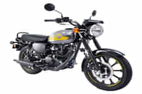 Kawasaki W175 METALLIC MOONDUST GRAY colour  Kawasaki W175 METALLIC MOONDUST GRAY colour