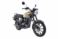 Kawasaki W175 METALLIC MOONDUST GRAY colour  Kawasaki W175 METALLIC MOONDUST GRAY colour