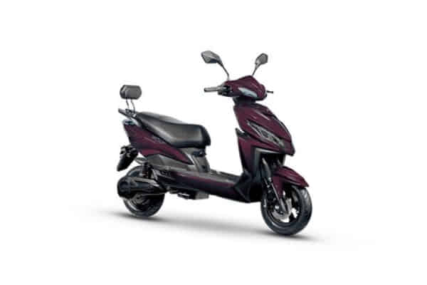 Joy E-bike Wolf Plus in Deep Wine