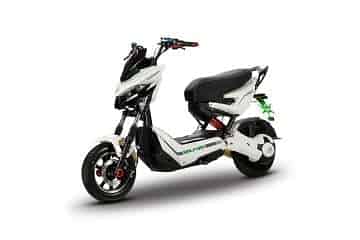 Wolfury in White Wolfury in White