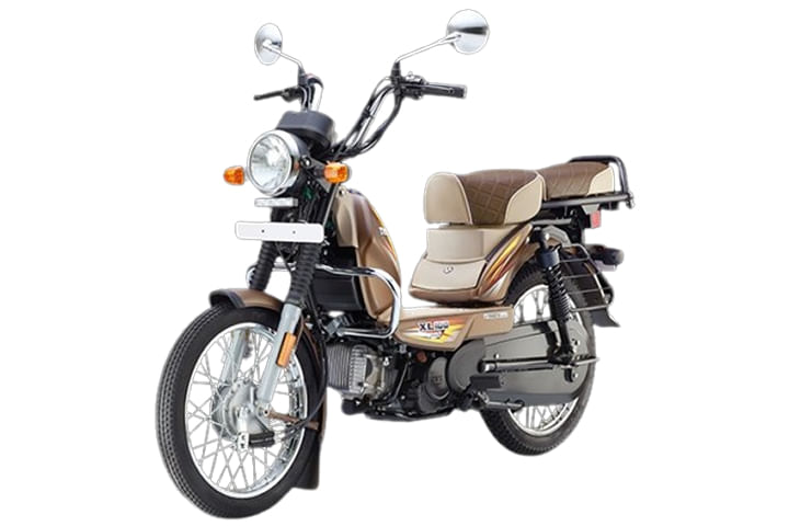 Win Edition Beaver Brown