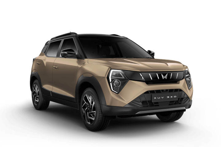 Dune Beige Black