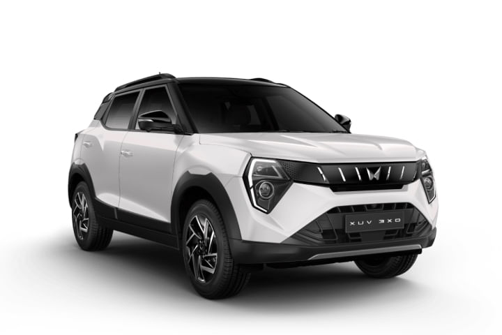 Everest White  Black