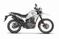 Hero Xpulse 210 Glacier White colour 