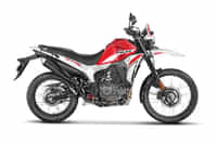 Hero Xpulse 210 Wild Red colour 