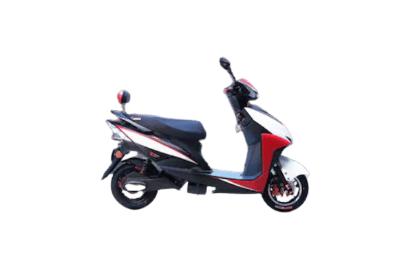 Zeez in White Zeez in White