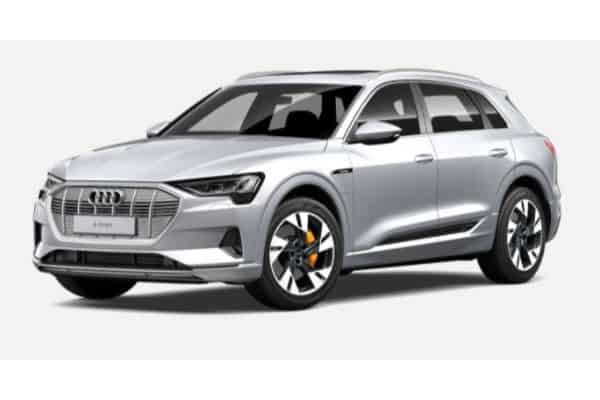 Audi e-tron in Floret Silver Metallic