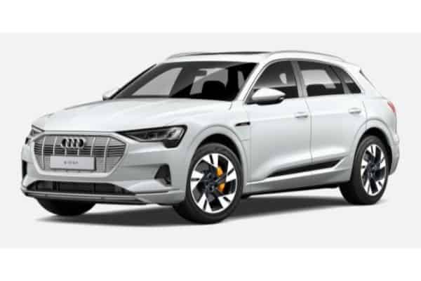 Audi e-tron in Glacier White Metallic