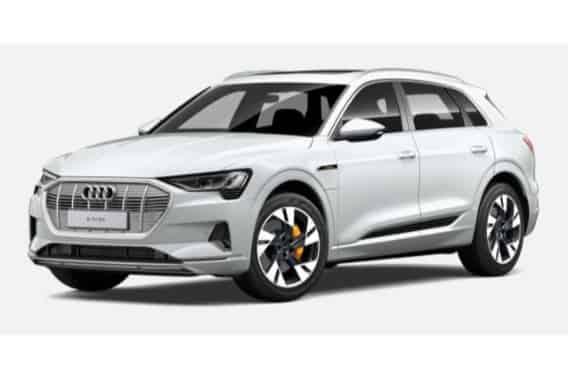 e-tron in Glacier White Metallic
