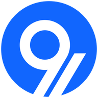 Team 91W
