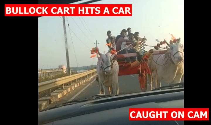 On Video: Bullock Cart Hits A Car In Karnataka