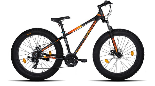 What Are Fat Bikes