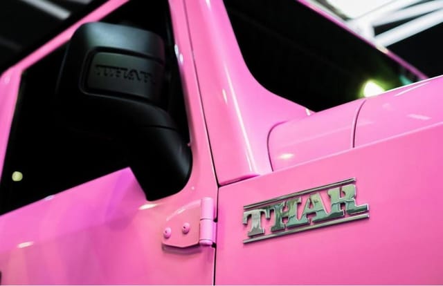 pink mahindra thar front fender orvm