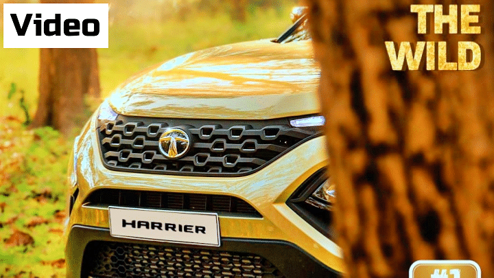 Walk-around Review Video of 2022 Tata Harrier Kaziranga Edition