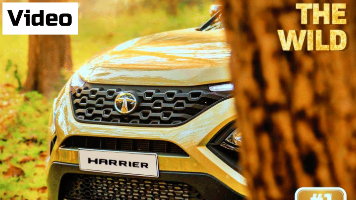 Walk-around Review Video of 2022 Tata Harrier Kaziranga Edition Walk-around Review Video of 2022 Tata Harrier Kaziranga Edition