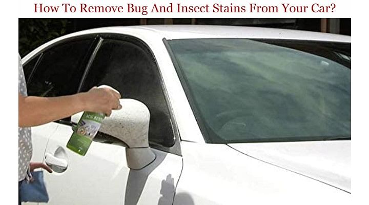 How To Remove Bug And Insect Stains From Your Car?