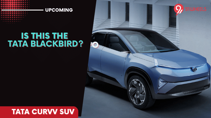 Is Tata Curvv The Blackbird SUV You Have Been Waiting For? Is Tata Curvv The Blackbird SUV You Have Been Waiting For?