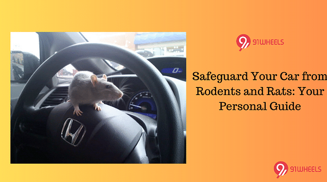 Safeguard Your Car from Rodents and Rats: Your Personal Guide