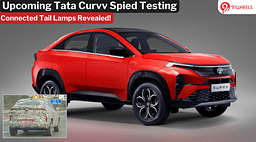 Upcoming Tata Curvv Connected Tail Lamps Spied: EV To Launch First!