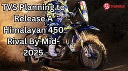 TVS Planning to Release A Himalayan 450 Rival By Mid-2025