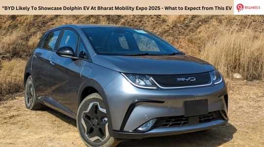BYD Likely To Showcase Dolphin EV At Bharat Mobility Expo 2025 - What to Expect?