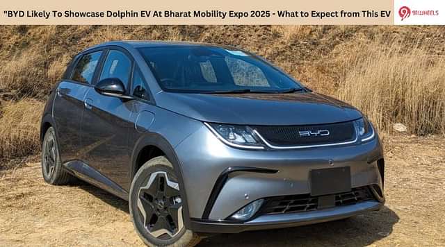 BYD Likely To Showcase Dolphin EV At Bharat Mobility Expo 2025 - What to Expect?