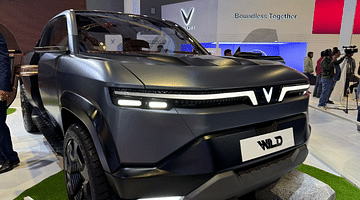 vf wild