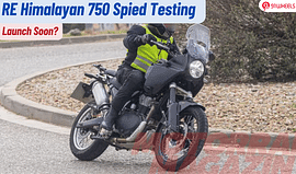 Royal Enfield Himalayan 750 Spied Testing- More Power For Adventure!