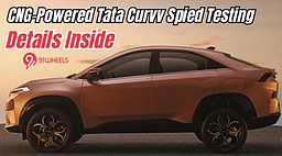 CNG-Powered Tata Curvv Spied Testing - All You Need to Know