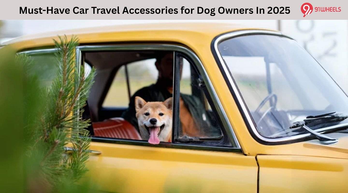 Must-Have Car Travel Accessories For Dog Owners In 2025 Must-Have Car Travel Accessories For Dog Owners In 2025