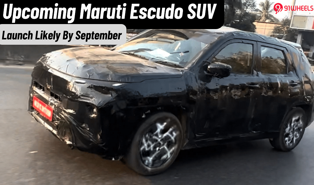 Maruti Escudo SUV Launch Likely This Festive Season: What To Expect? Maruti Escudo SUV Launch Likely This Festive Season: What To Expect?