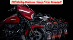 2025 Harley-Davidson Lineup Prices Announced, Street Bob Replaces Fat Bob!
