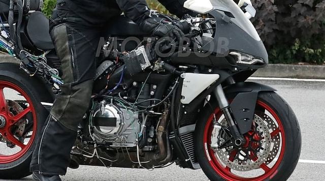 norton v4