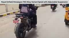 Royal Enfield Himalayan 750 Alloy Variant Spied with Adjustable Suspension