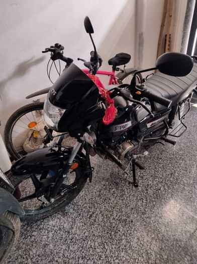 Image 3 of Radeon by Raghu Sharma
