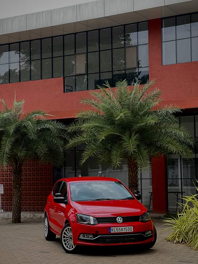Image 1 of Polo by Shefn 