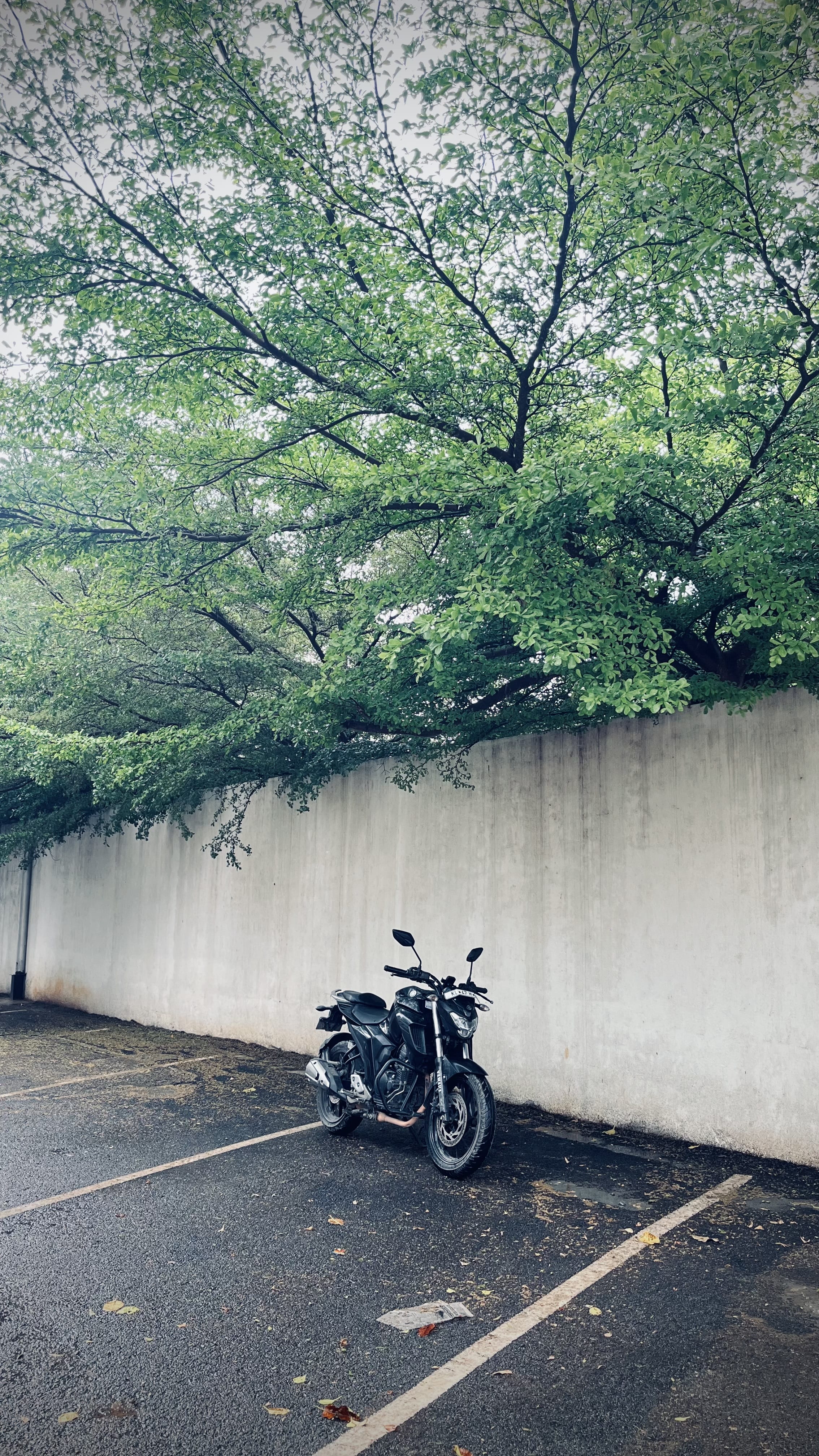 Review image 2 by Alen Vincent 