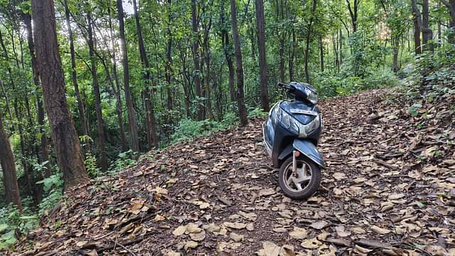 Image 6 of Activa by Priyan Mahanta