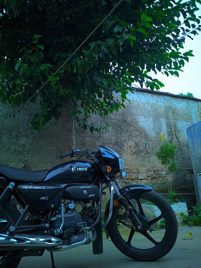 Image 1 of Splendor Plus by Jaswant Sharma