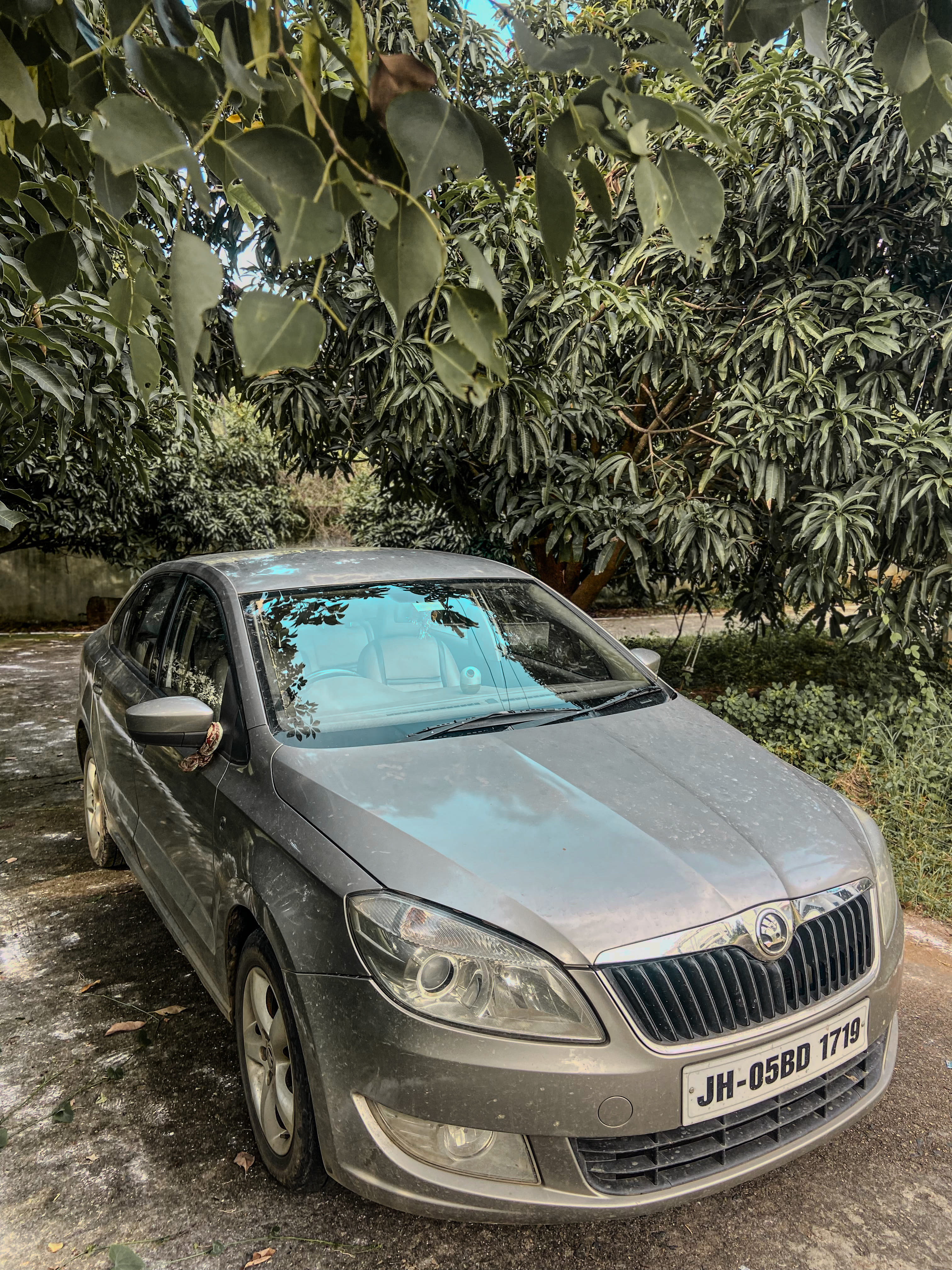 Review image 1 by Sandy 