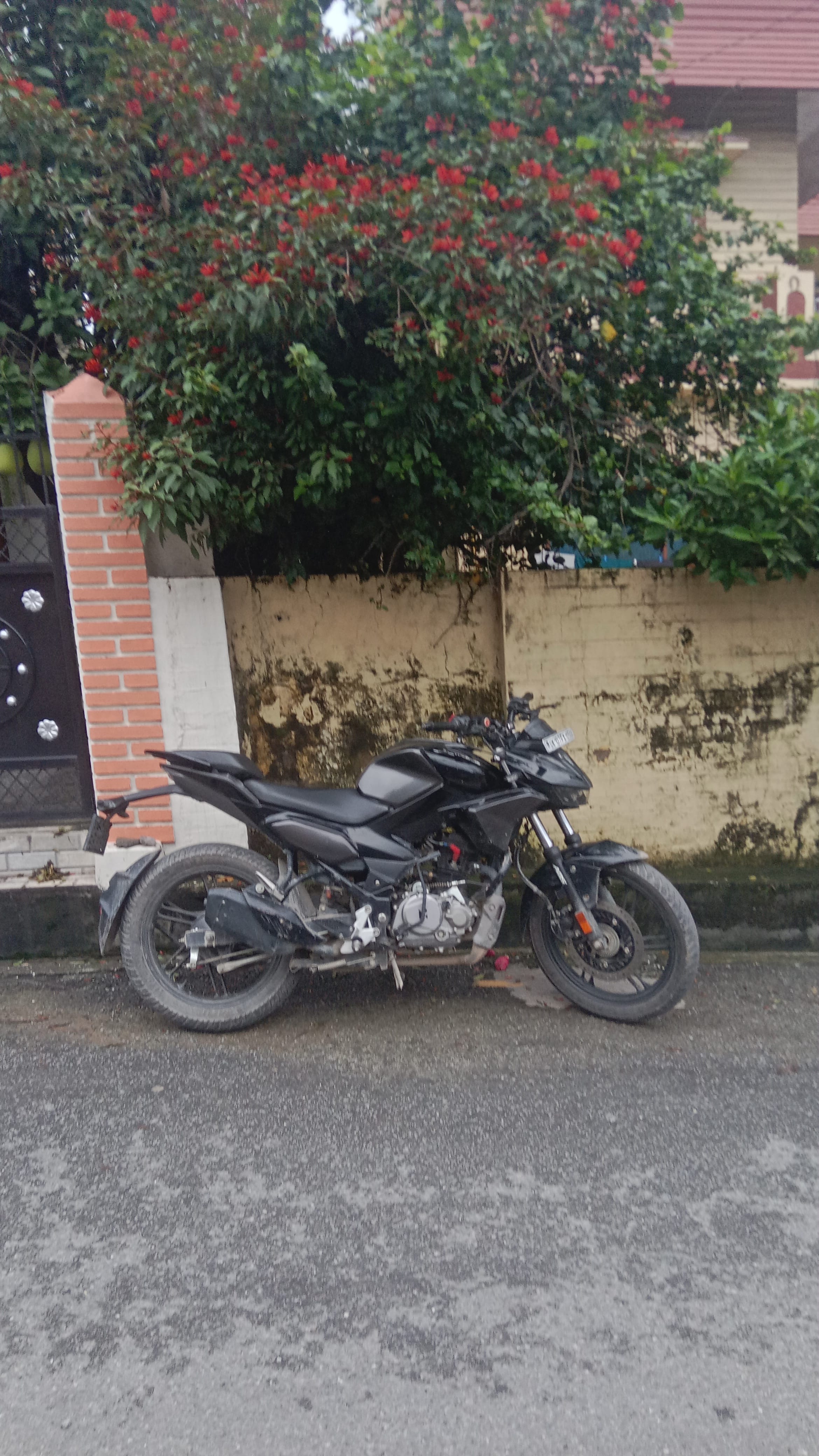 Review image 7 by Mohd sabir Review image 7 by Mohd sabir