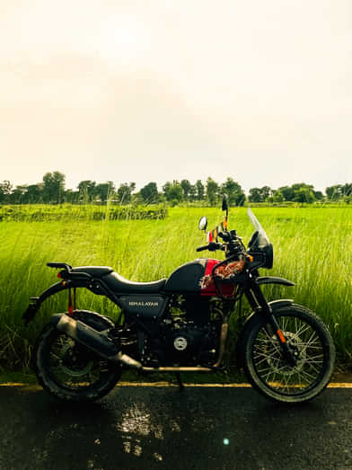 Image 1 of Himalayan by ANKIT  Image 1 of Himalayan by ANKIT