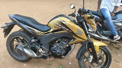 Image 1 of Hornet 2.0 by Chief Man